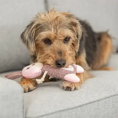 Trixie haas hondenknuffel stof/pluche 24 cm – met touw, 3 stuks - Afbeelding 3