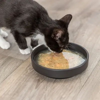 Trixie Soep kattensnack kip en zalm 4 x 80 g – vloeibaar, glutenvrij - Afbeelding 4