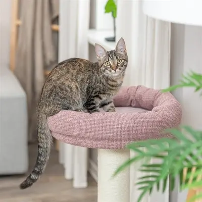 Trixie krabpaal Viviana rond oudroze 50 x 50 x 80 cm – jute en sisal - Afbeelding 6