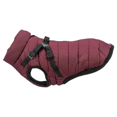 Trixie hondenjas Pirou met tuig sangria 33 cm – waterafstotend