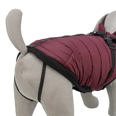 Trixie hondenjas Pirou met tuig sangria 40 cm – waterafstotend - Afbeelding 7