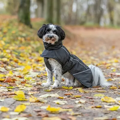 Trixie winterjas hond Brizon zwart 45 cm – waterdicht, met fleece - Afbeelding 8