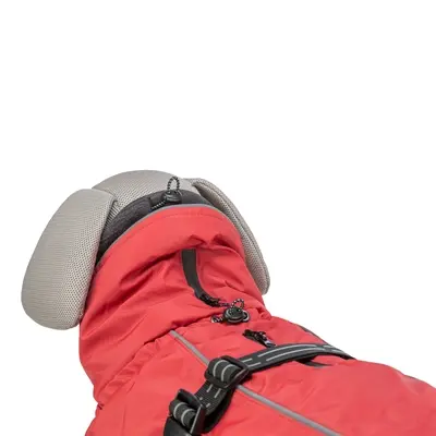 Trixie winterjas hond Explore Thermo rood 62 cm – water- en winddicht - Afbeelding 5