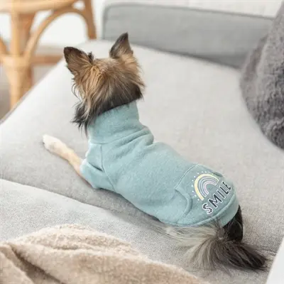 Trixie hondentrui sweatshirt Littleton mintgroen 27 cm - Afbeelding 4