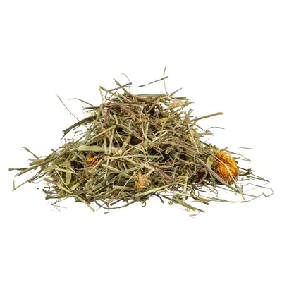 Trixie Reptiland grassen en graslandkruiden 6 x 200 g – landschildpadden - Afbeelding 3