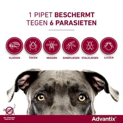 Elanco Advantix spot-on hond meer dan 40 kg – 4 pipetten
