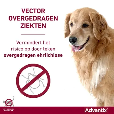 Elanco Advantix spot-on hond meer dan 40 kg – 4 pipetten - Afbeelding 5