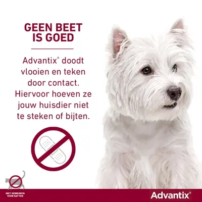 Elanco Advantix spot-on hond meer dan 40 kg – 4 pipetten - Afbeelding 6