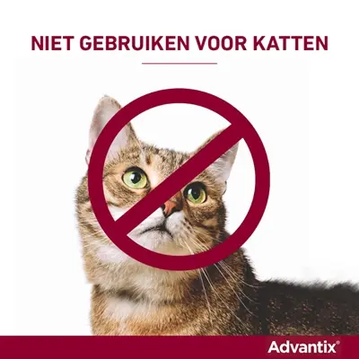 Elanco Advantix spot-on hond meer dan 40 kg – 4 pipetten - Afbeelding 7