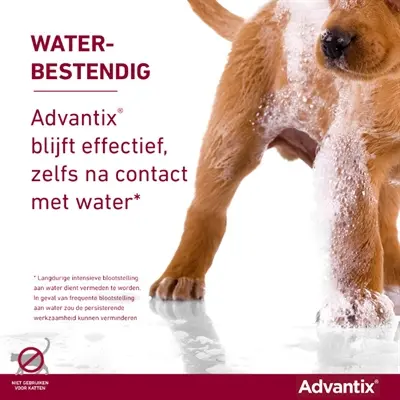 Elanco Advantix spot-on hond meer dan 40 kg – 4 pipetten - Afbeelding 9