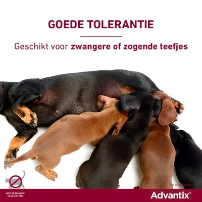 Elanco Advantix spot-on hond meer dan 40 kg – 4 pipetten - Afbeelding 10
