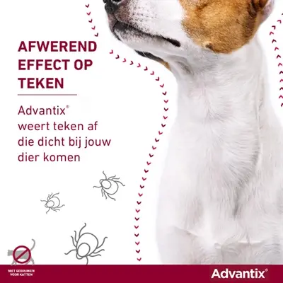 Elanco Advantix spot-on hond meer dan 40 kg – 4 pipetten - Afbeelding 11