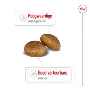Royal Canin Maxi Adult hondenvoer 15 kg – gezonde spijsvertering - Afbeelding 4