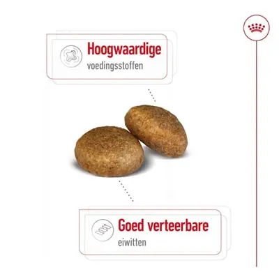 Royal Canin Maxi Adult hondenvoer 15 kg – gezonde spijsvertering