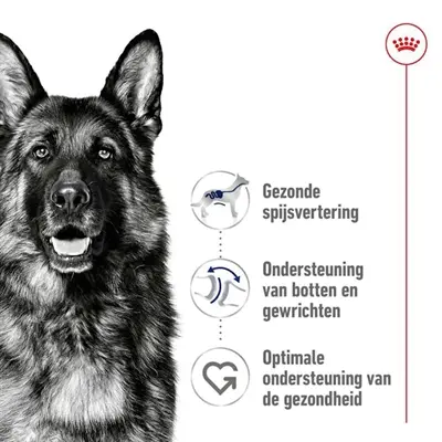 Royal Canin Maxi Adult hondenvoer 15 kg – gezonde spijsvertering - Afbeelding 5