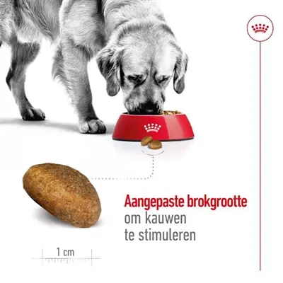 Royal Canin Maxi Adult hondenvoer 15 kg – gezonde spijsvertering - Afbeelding 6