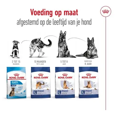 Royal Canin Maxi Adult hondenvoer 15 kg – gezonde spijsvertering - Afbeelding 7
