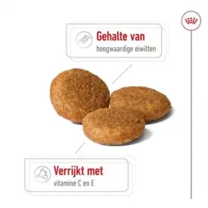 Royal Canin Medium Adult hondenvoer 15 kg – middelgrote honden - Afbeelding 4