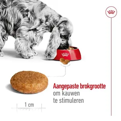 Royal Canin Medium Adult hondenvoer 15 kg – middelgrote honden - Afbeelding 6