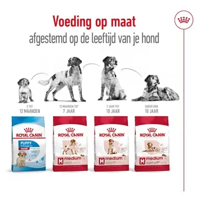 Royal Canin Medium Adult hondenvoer 15 kg – middelgrote honden - Afbeelding 7