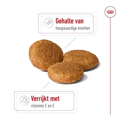 Royal Canin Medium Adult hondenvoer 4 kg – middelgrote honden
