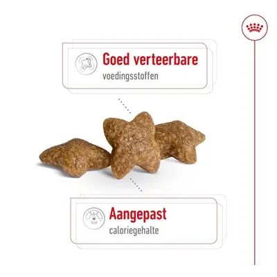 Royal Canin Mini Adult hondenvoer 4 kg – voor kleine honden