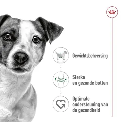 Royal Canin Mini Adult hondenvoer 4 kg – voor kleine honden - Afbeelding 4