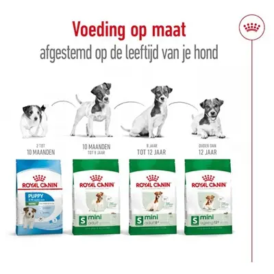 Royal Canin Mini Adult hondenvoer 4 kg – voor kleine honden - Afbeelding 6
