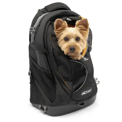 Kurgo G-Train hondenrugzak zwart 41,3 x 22,9 x 50,2 cm – tot 11 kg - Afbeelding 7