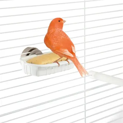 Imac snackhouder voor vogels 10 x 6 x 2,5 cm – assorti - Afbeelding 7