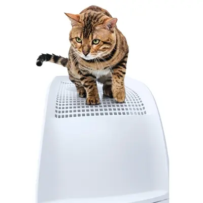 Imac kattenbak Frida blauw 56 x 40 x 43,5 cm – met schuiflade - Afbeelding 5