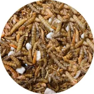 Utopia insectenmix 500 g – energiebron voor vogels - Afbeelding 4