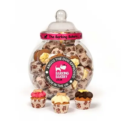 The Barking Bakery Mini Iced Woofins voorraadpot – 45 stuks