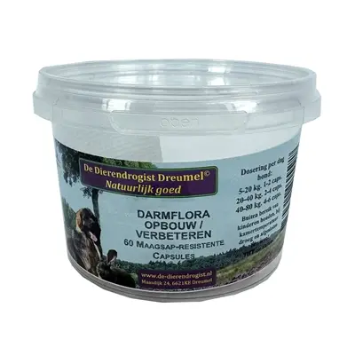 Dierendrogist darmflora opbouw capsules 60 stuks – maagsapresistent