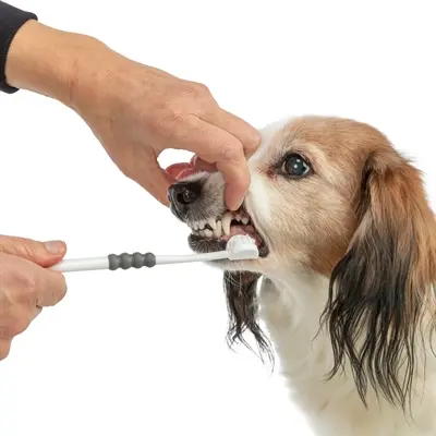 Trixie tandenborstel 3 koppen 18 cm wit/grijs – voor hond en kat - Afbeelding 8