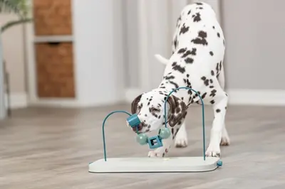 Trixie Dog Activity Skills Loop 43 cm – interactief hondenspel - Afbeelding 5