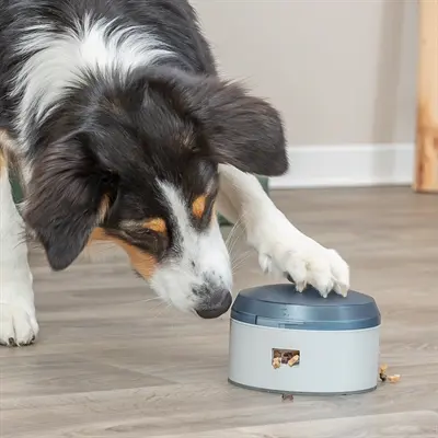 Trixie Dog Activity Buzzer 14 x 14 x 9,5 cm – interactief hondenspeelgoed - Afbeelding 6