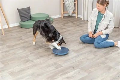 Trixie Dog Activity Rocking Maze 28 x 28 cm – interactief hondenspel - Afbeelding 8