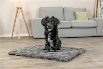 Trixie ligmat Lonni ribfluweel grijs 130 x 90 cm – voor hond en kat - Afbeelding 8