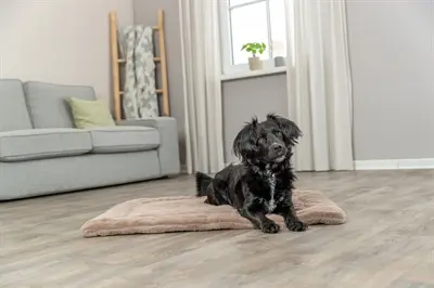 Trixie ligmat Lonni ribfluweel lichtbruin 130 x 90 cm – voor hond en kat - Afbeelding 8