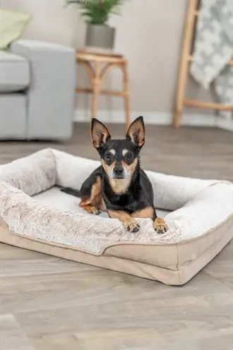 Trixie Vital hondenmand Lino hoekig beige 110 x 75 cm – orthopedisch - Afbeelding 10