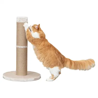 Trixie krabpaal Rue XXL beige 50 x 50 x 80 cm – massieve bodemplaat - Afbeelding 5