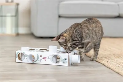 Trixie Cat Activity Paws'n'Treats Box 35 x 20 cm – karton - Afbeelding 8