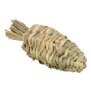 Trixie knaagspeeltje Wortel Gras 20 x 6 cm – hamsters en degoes - Afbeelding 1