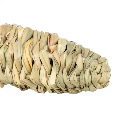 Trixie knaagspeeltje Wortel Gras 20 x 6 cm – hamsters en degoes