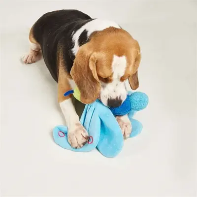Fofos Jumbo hondenknuffel vlinder blauw 25 x 38 x 10 cm – met pieper - Afbeelding 5