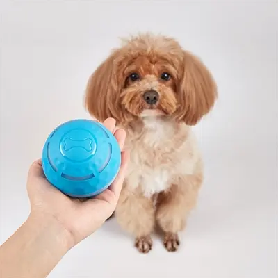 Fofos rolbal oplaadbaar 8,5 cm – interactief hondenspeeltje met licht - Afbeelding 5