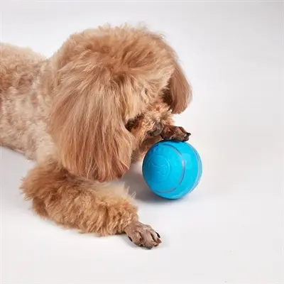 Fofos rolbal oplaadbaar 8,5 cm – interactief hondenspeeltje met licht - Afbeelding 6