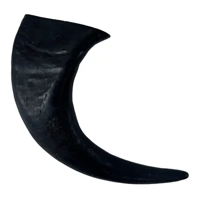 T-Rex kauwsnack buffelhoorn groot 19-22 cm – voor stevige kauwers