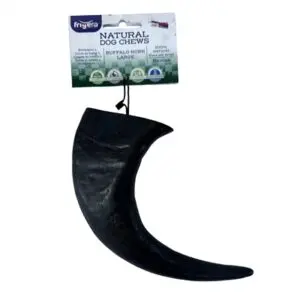 T-Rex kauwsnack buffelhoorn groot 19-22 cm – voor stevige kauwers - Afbeelding 2